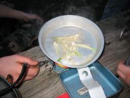 20080035_35_1.jpg